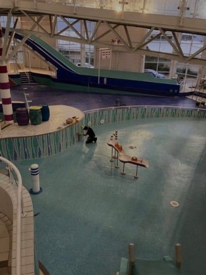 Work around a curved, tiled leisure-pool edge.